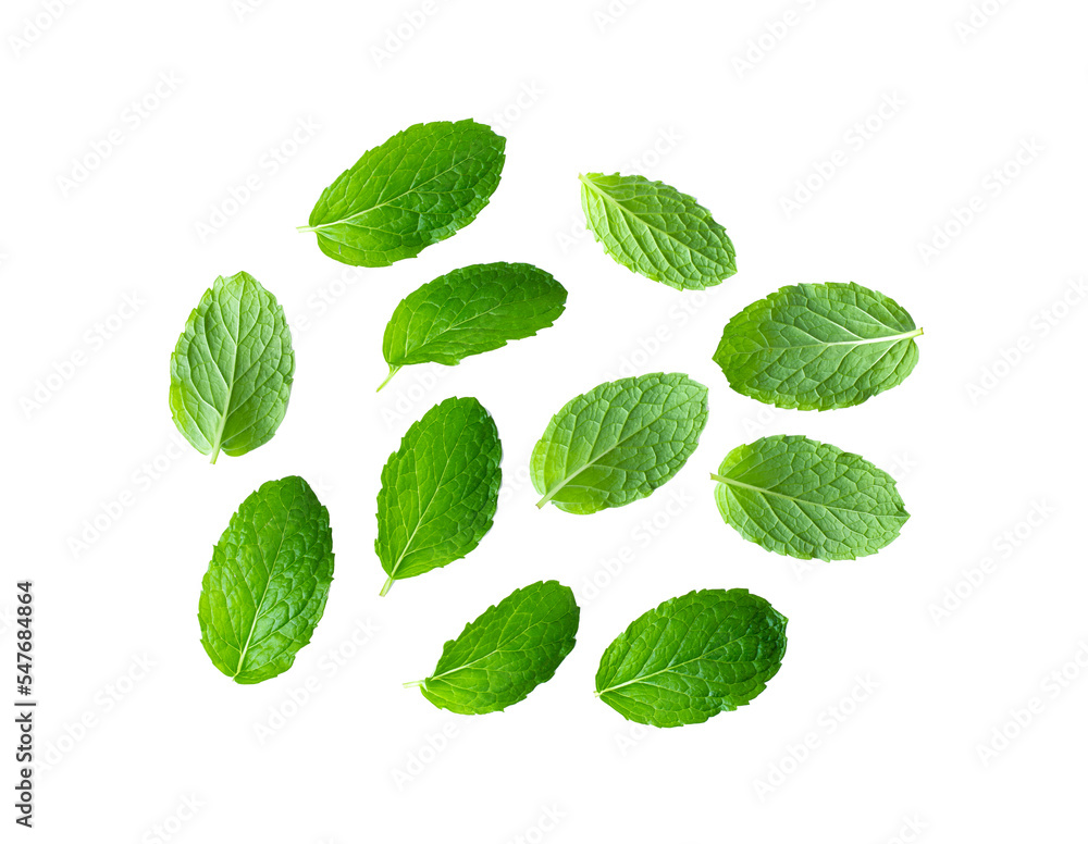 Fresh mint leaves isolated on transparent png Fresh mint leaves isolated on transparent png
