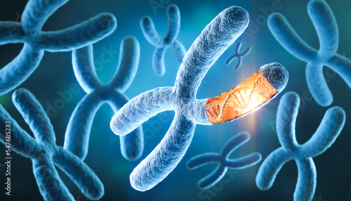 Cuadro en lienzo 3D illustration of X Chromosome, Medicine