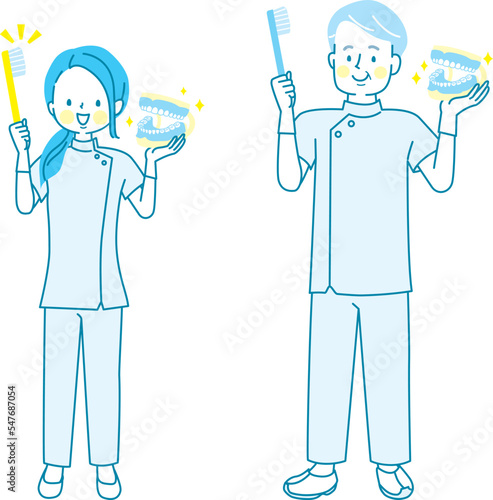 歯磨きの指導をする男女の歯科衛生士のベクターイラスト素材