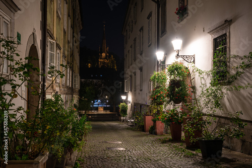 Scenic little Krizevniska alley in Ljubljana illuminated at night  arranged with plants at the sides