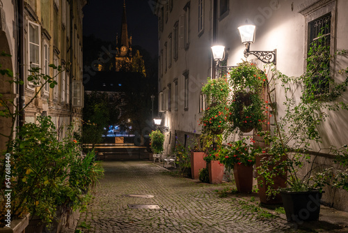 Scenic little Krizevniska alley in Ljubljana illuminated at night  arranged with plants at the sides