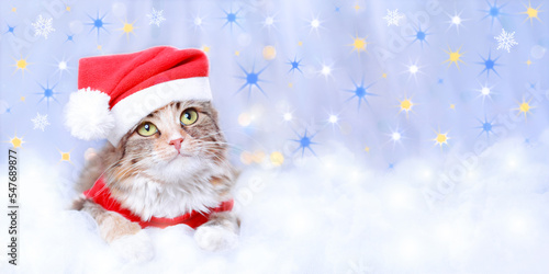Kitten rests on white cloud. Cat  in Santa costume. Cat looks at the camera. Kitten on a white background. Happy New Year. Merry Christmas. Web banner copy space. Yellow blue stars. Ukrainian symbols © Mariia