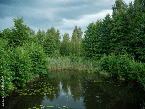 beautiful countryside lake in summer with reflections