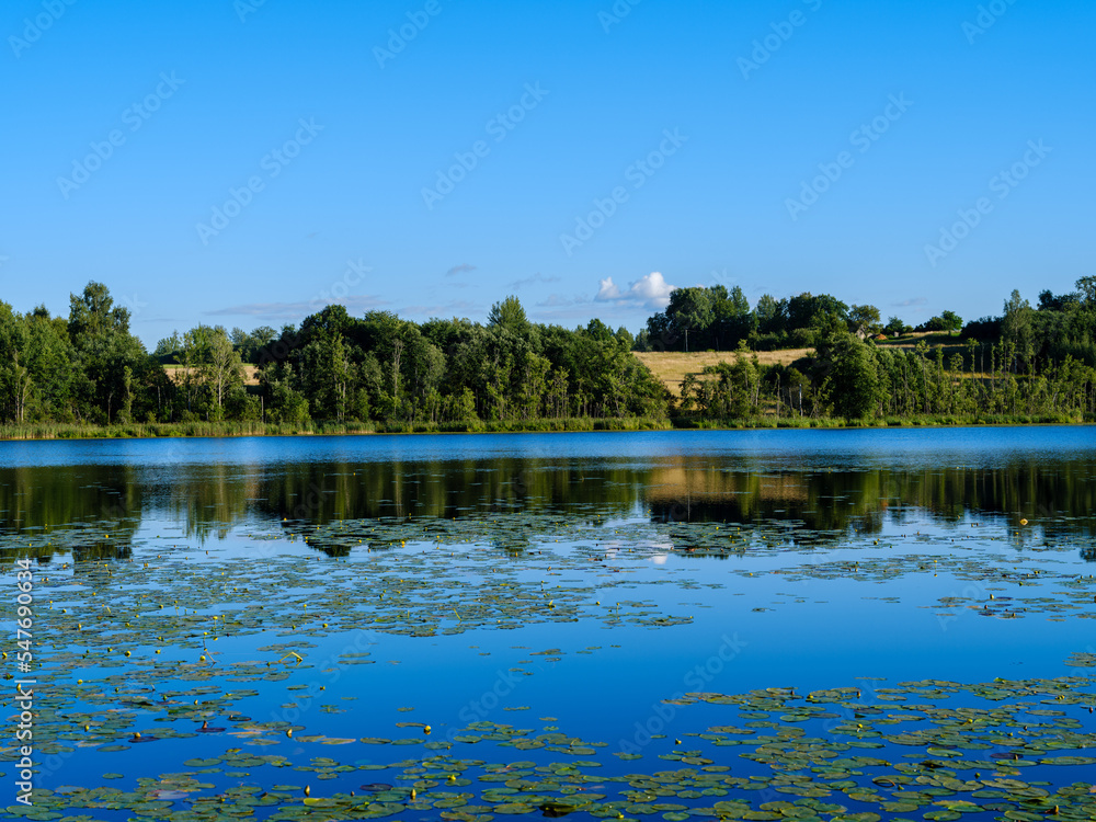 Obraz premium beautiful countryside lake in summer with reflections