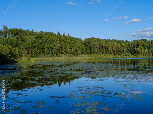 Fototapeta Naklejka Na Ścianę i Meble -  beautiful countryside lake in summer with reflections