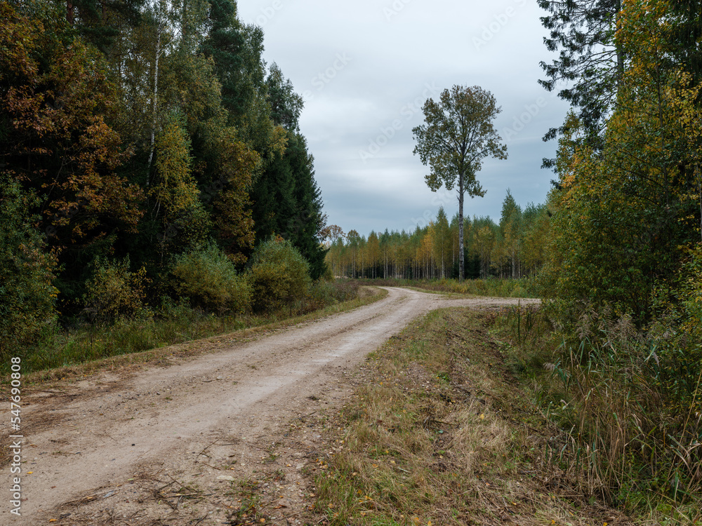country gravel road in perspective country gravel road in perspective