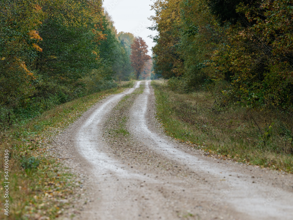 country gravel road in perspective