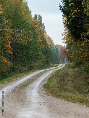 country gravel road in perspective