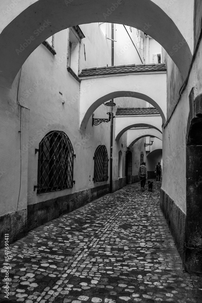 Small alley leading to the fish market in the center of Ljubljana