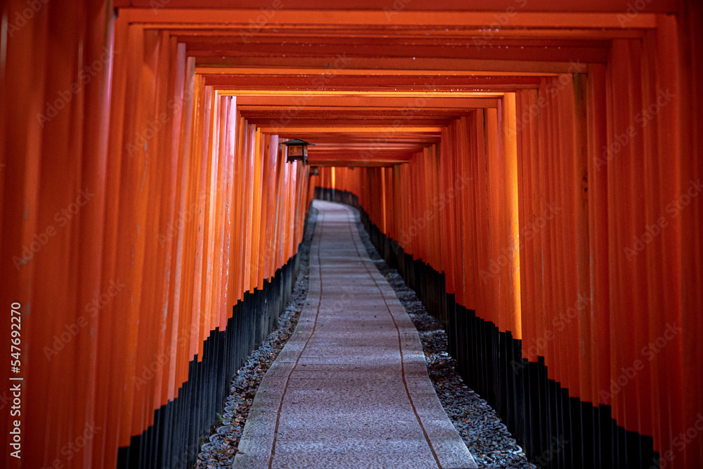 Fototapeta premium Fushimi Inari Shrine