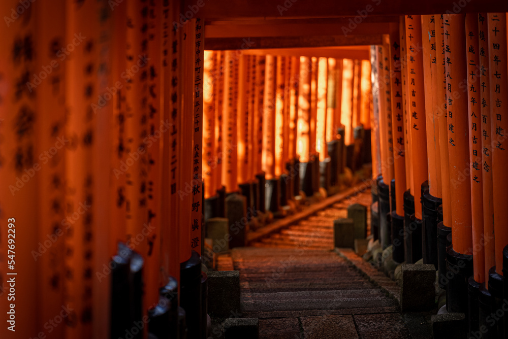 Fototapeta premium Fushimi Inari Shrine