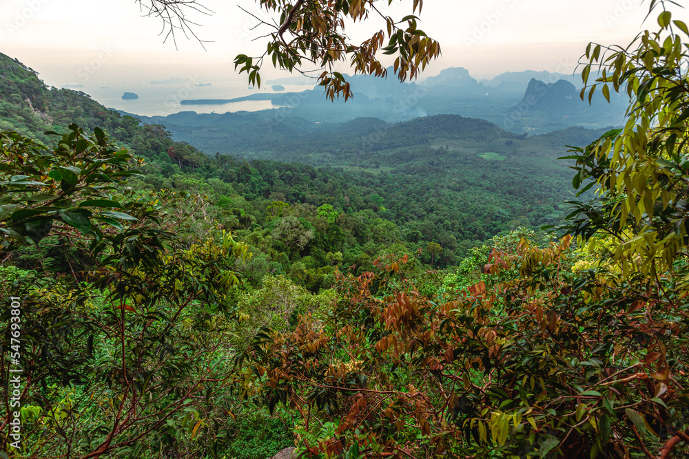 Obraz premium Natural background, high angle from the high mountains that can see the scenery around, the wind blows through the cool, blurred of traveling, the integrity of the moist forest.