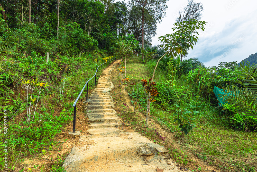 Natural background, high angle from the high mountains that can see the scenery around, the wind blows through the cool, blurred of traveling, the integrity of the moist forest. Natural background, high angle from the high mountains that can see the scenery around, the wind blows through the cool, blurred of traveling, the integrity of the moist forest.