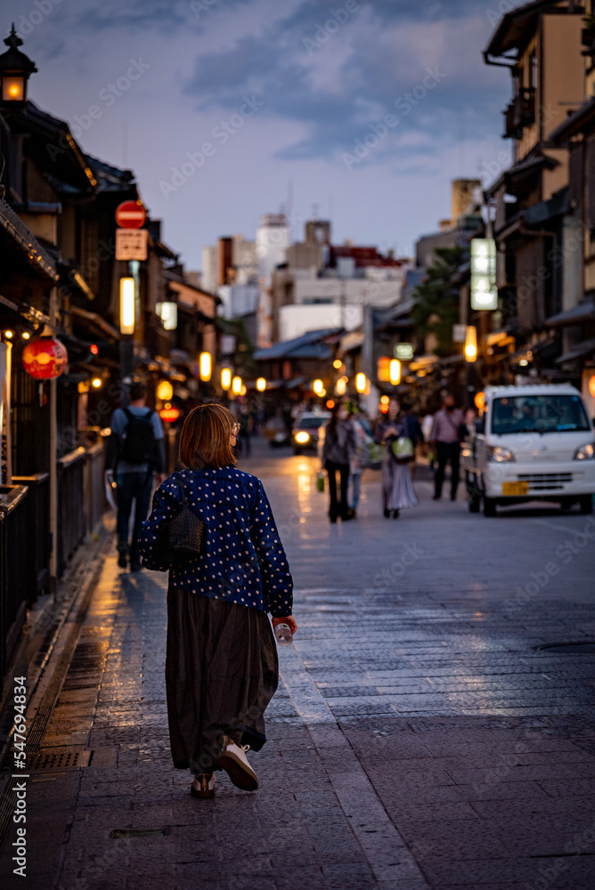 Kyoto Alleyway