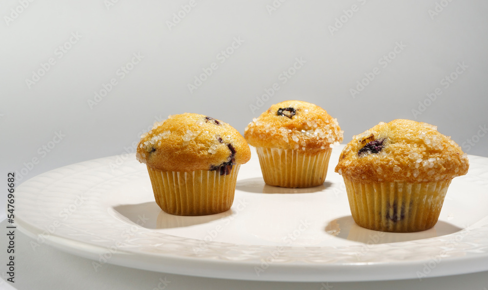 Blueberry Mini-Muffin Plate 4 Blueberry Mini-Muffin Plate 4