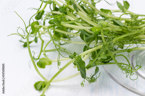 Young pea sprouts on a white background.