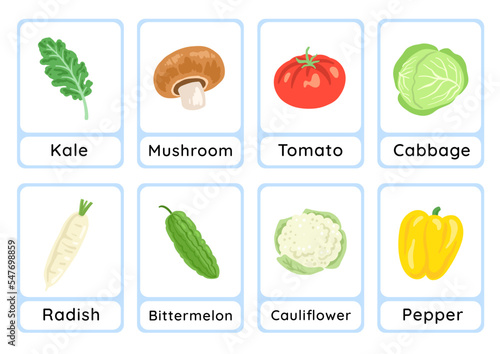 Vegetable flashcard collection for children education, printable montessori material