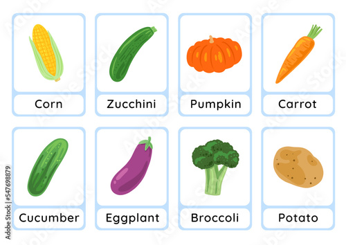 Vegetable flashcard collection for children education, printable montessori material