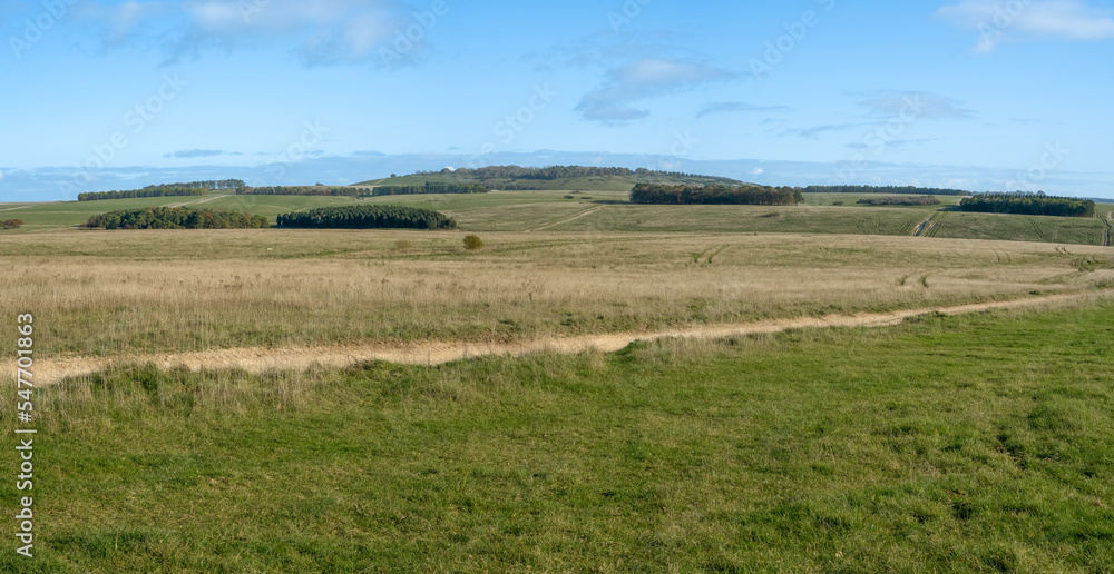 wide-angle panorama scenic view of woodland copse, chalkland meadows and a tump, Sidbury Hill, Wiltshire wide-angle panorama scenic view of woodland copse, chalkland meadows and a tump, Sidbury Hill, Wiltshire