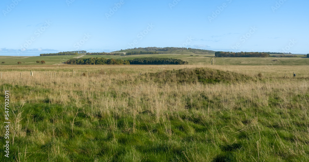 wide-angle panorama scenic view of woodland copse, chalkland meadows and a tump, Sidbury Hill, Wiltshire