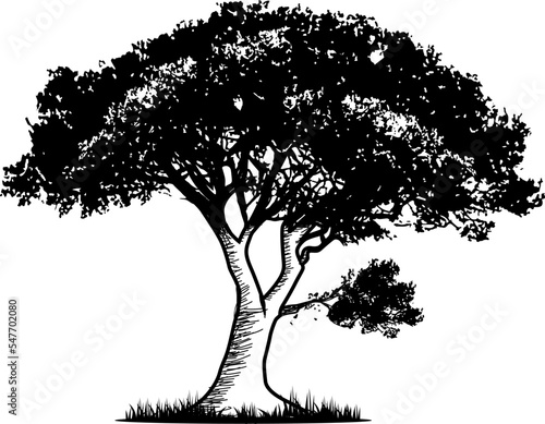 tree silhouette vector illustration  tree classic design style  black and white tree