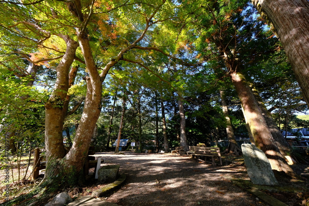 田舎の風景 いつもそばにある自然 田舎の風景 いつもそばにある自然