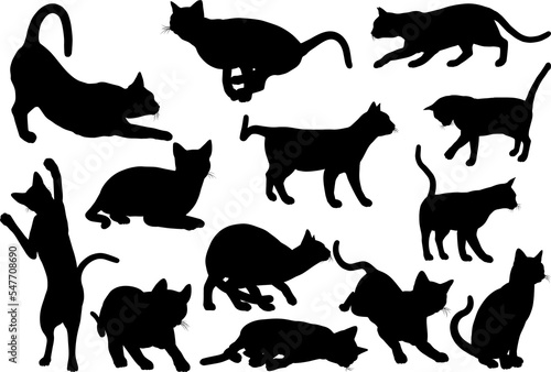 Cat Silhouette Pet Animals Set