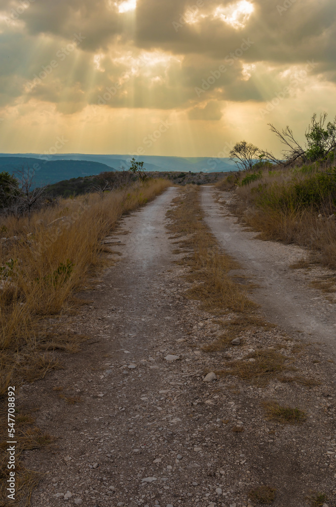 Fototapeta premium Dirt road in Texas Hill Country about to get wet