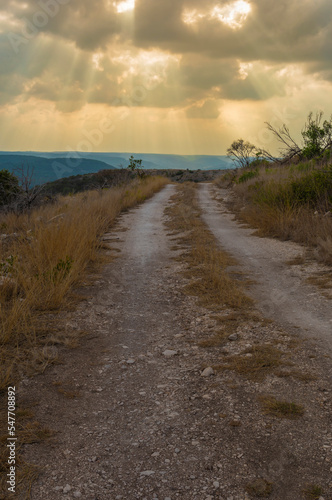 Fototapeta Naklejka Na Ścianę i Meble -  Dirt road in Texas Hill Country about to get wet