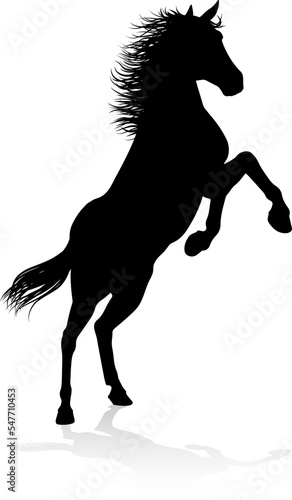 Horse Silhouette Animal