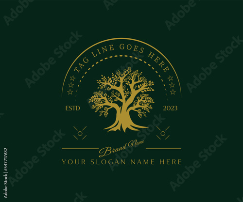 Olive Vintage hipster logo