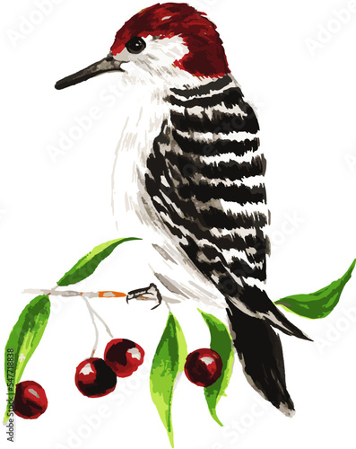 illustration of a bird on a fruit branch watercolor