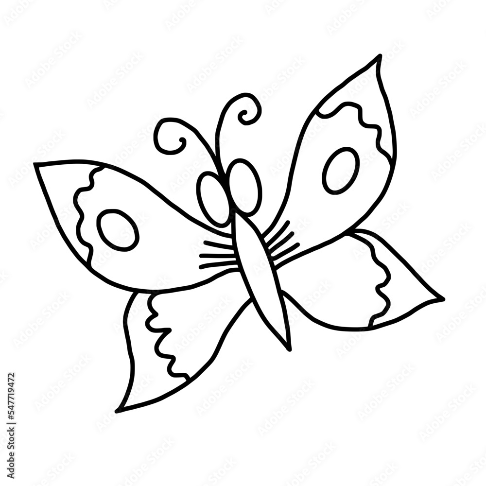 black and white butterfly black and white butterfly