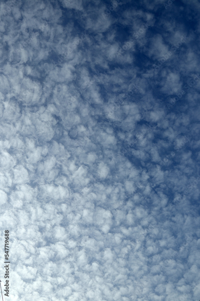 Autumn blue sky background covered with Cirrocumulus clouds. Autumn blue sky background covered with Cirrocumulus clouds.