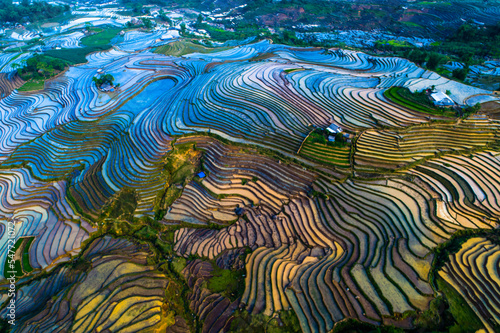 Terraced fields to prepare water for rice cultivation in Vietnam