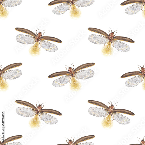 Vintage watercolor seamless pattern with glowing fireflies isolated on white background. © Elizaveta