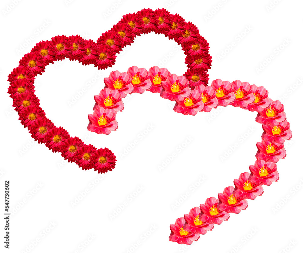 Two halves of hearts as a symbol of love loyalty friendship or one whole. Silhouettes of hearts made of red and pink flower buds isolated on a transparent background Two halves of hearts as a symbol of love loyalty friendship or one whole. Silhouettes of hearts made of red and pink flower buds isolated on a transparent background