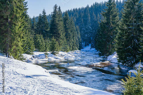 Fototapeta Naklejka Na Ścianę i Meble -  Winter landscape with a view of the winding Izera River in the Izera Mountains