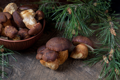 Imleria Badia or Boletus badius mushrooms commonly known as the bay bolete and clay bowl with mushrooms on vintage wooden background..