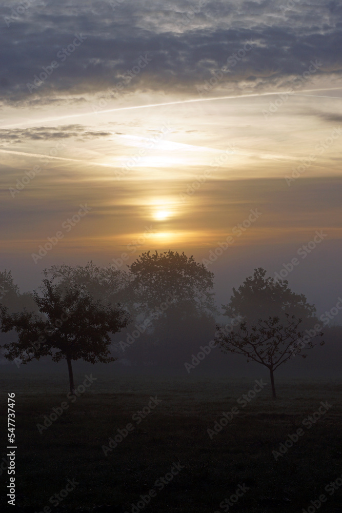 Morgennebel im Frühherbst bei Sonnenaufgang. Obstgarten auf dem Land. Schwarzwald, Deutschland.