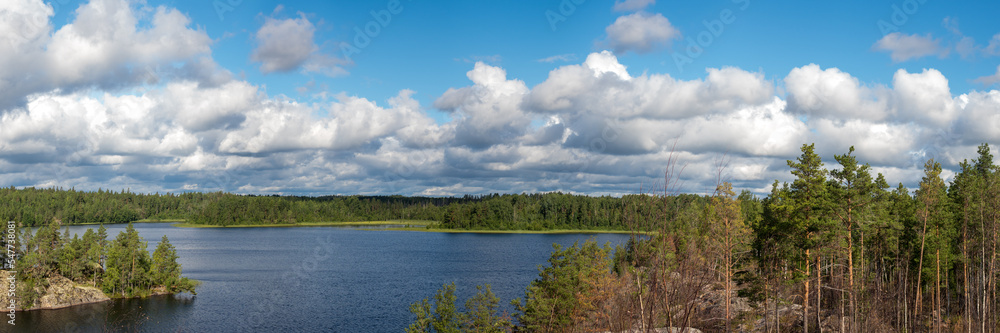 lake in summer on a sunny day