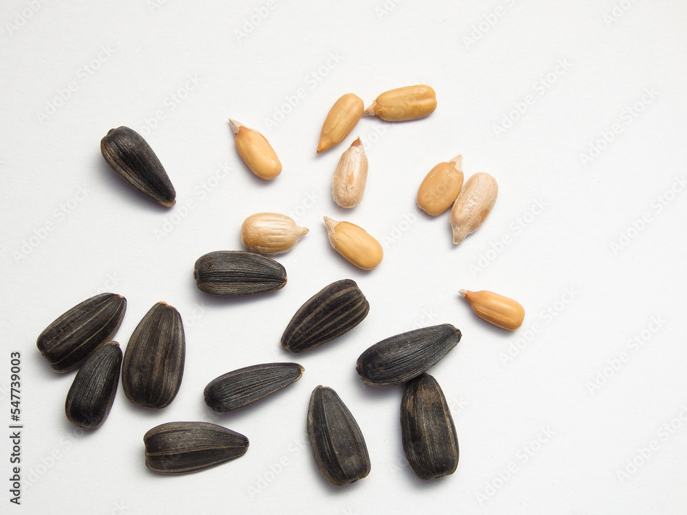 Seed of Sunflower isolated on white background. Close-up of delicious sunflower black seeds, isolated on white background Seed of Sunflower isolated on white background. Close-up of delicious sunflower black seeds, isolated on white background