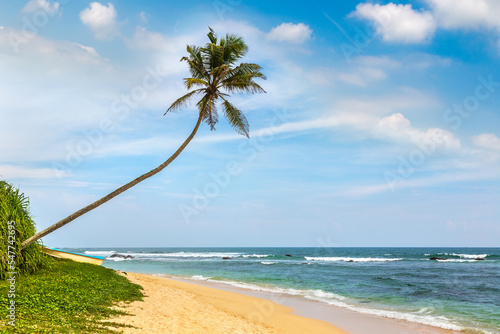 Beach in Sri Lanka © Sergii Figurnyi