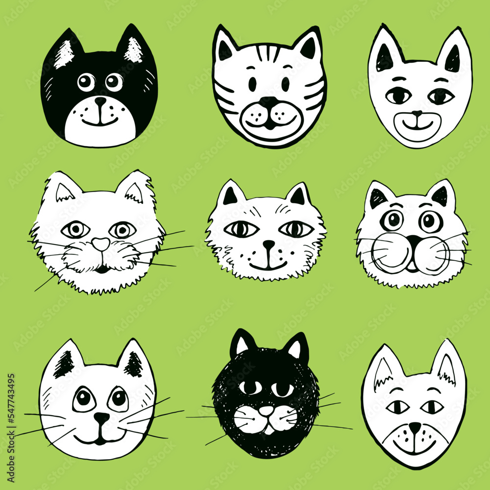 cat face set baby cartoon zoo cat face set baby cartoon zoo