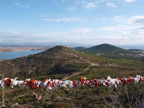 Ayvalık Sarımsaklı photo