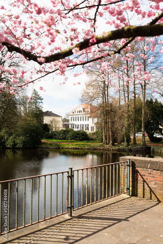 Schlossgarten Oldenburg im Frühling