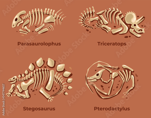 Dinosaurs skeleton fossil silhouettes paleontology archeology concept. Vector graphic design illustration element