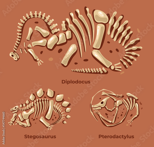 Dinosaurs skeleton fossil silhouettes paleontology archeology concept. Vector graphic design illustration element