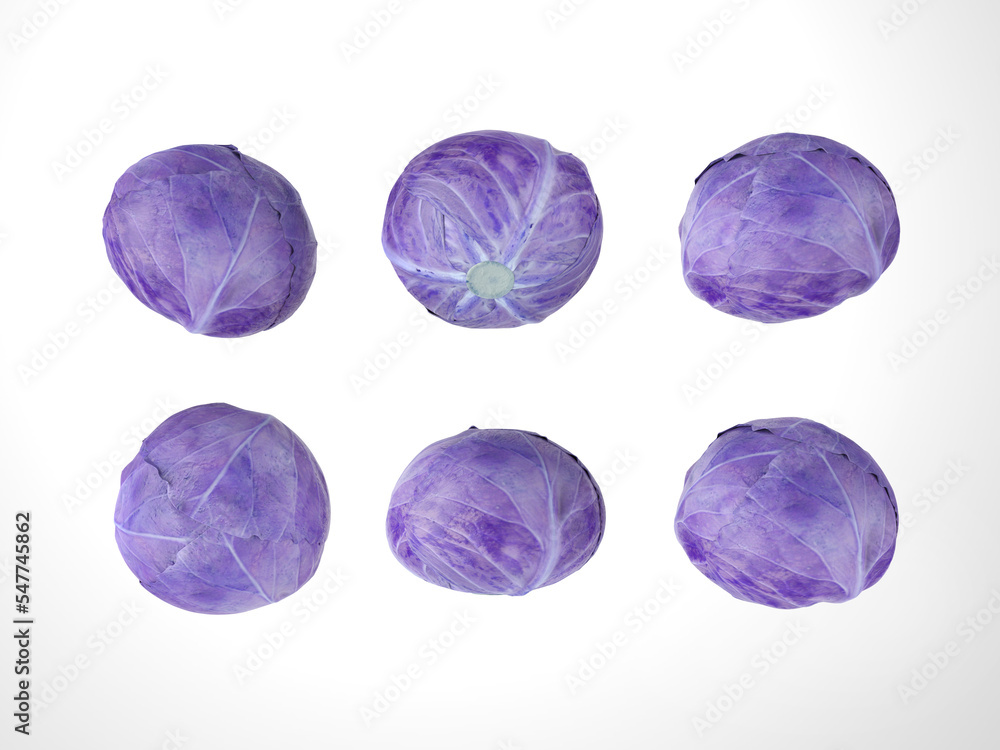 Vegetable isolated Vegetable isolated
