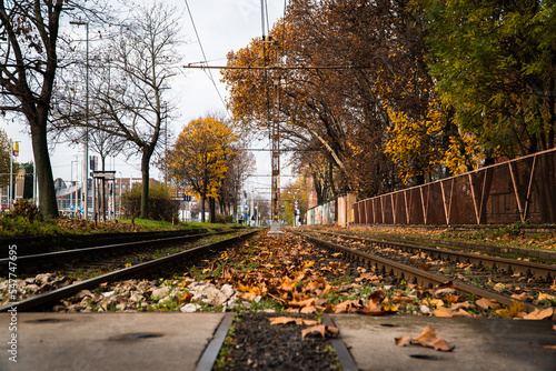 Tram line in autumn